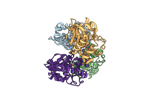 2BKB image