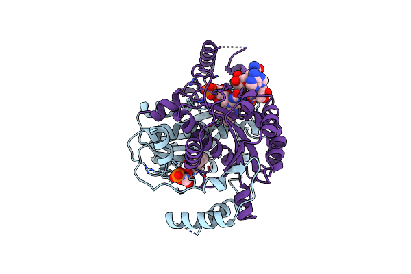 2BKJ image