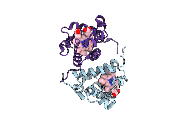 2BKM image