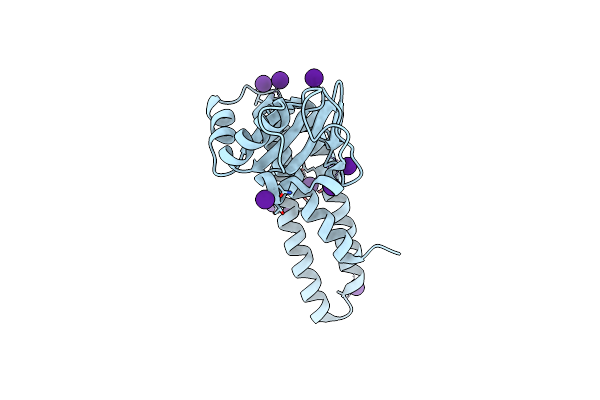 2BKN image