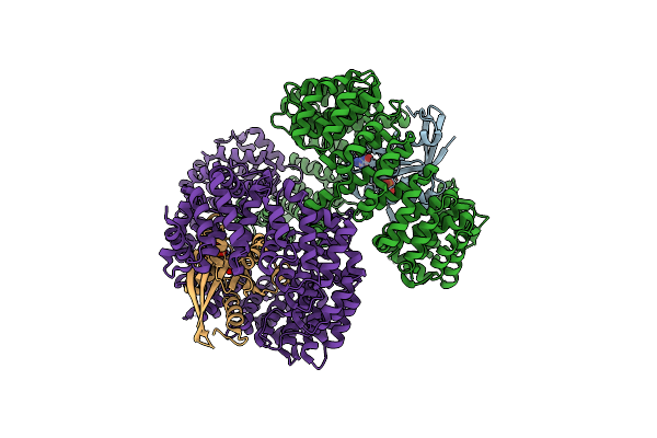 2BKU image