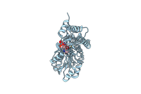 2BKW image