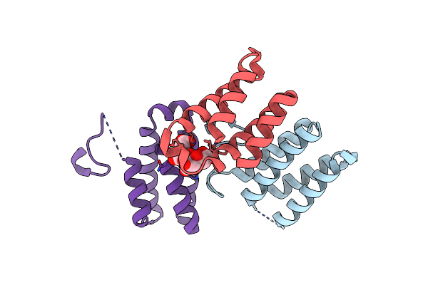 2BL8 image