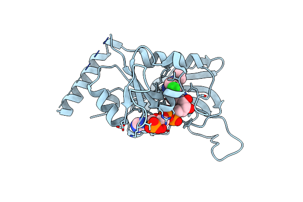 2BL9 image