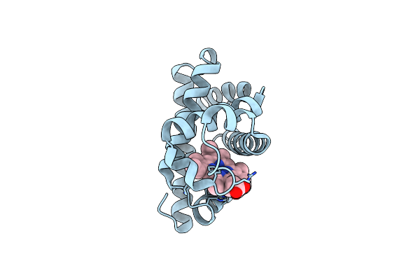 2BLH image