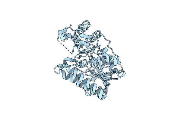 2BLL image