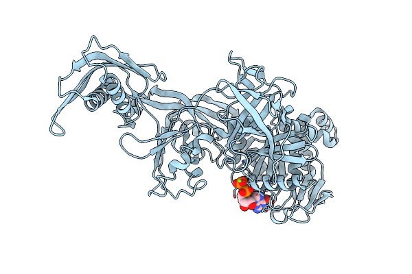 2BM1 image