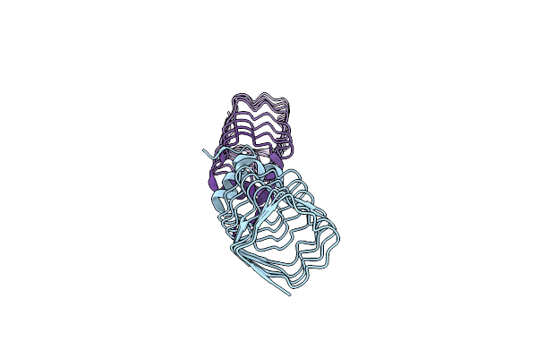 2BM4 image