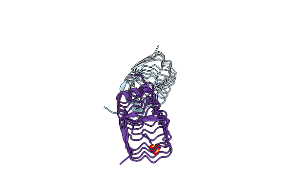 2BM5 image