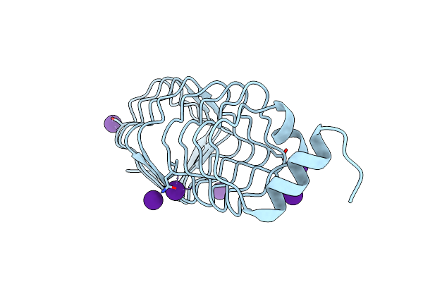 2BM6 image