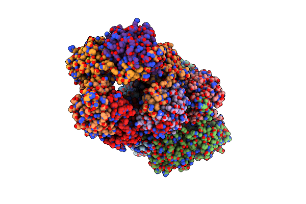 2BM8 image