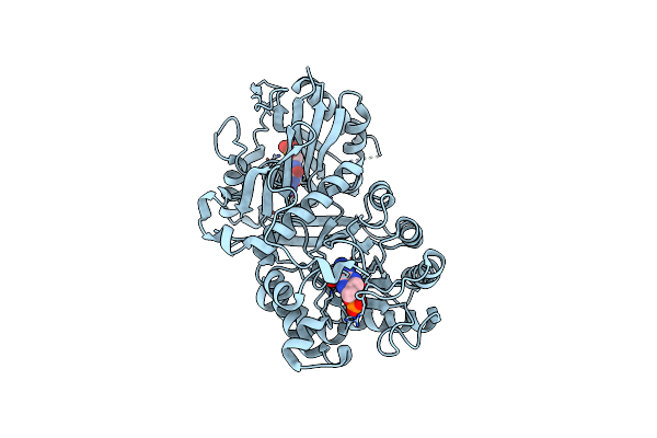 2BMB image
