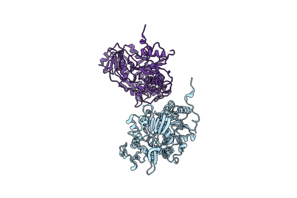 2BMF image