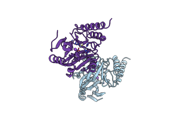 2BMI image