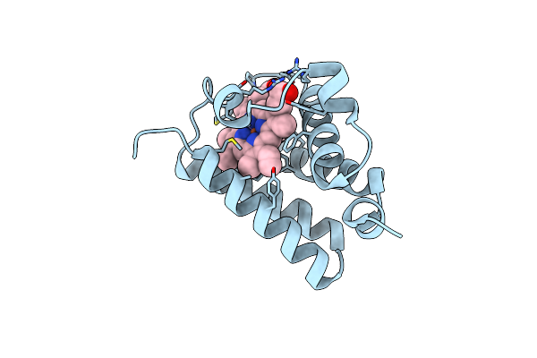 2BMM image