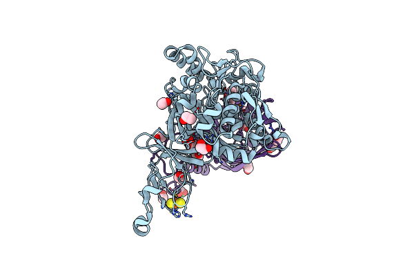 2BMR image