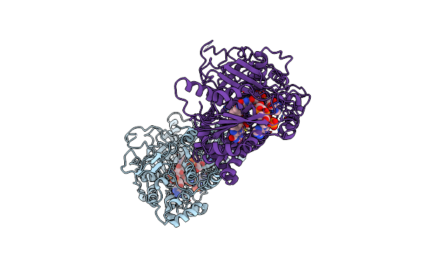 2BN4 image