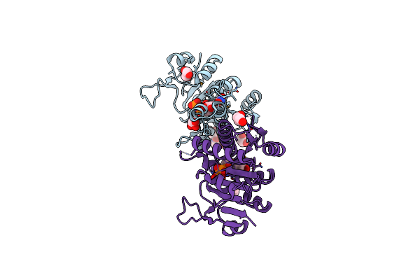 2BNF image