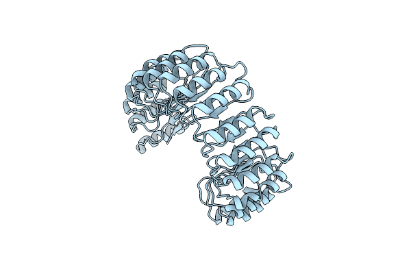 2BNH image
