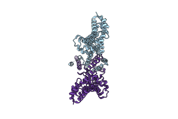2BNX image