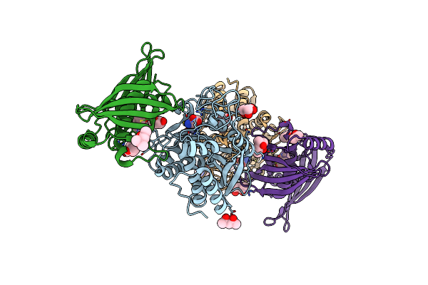 2BO9 image