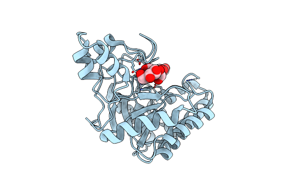 2BOF image