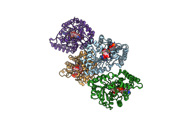 2BP1 image