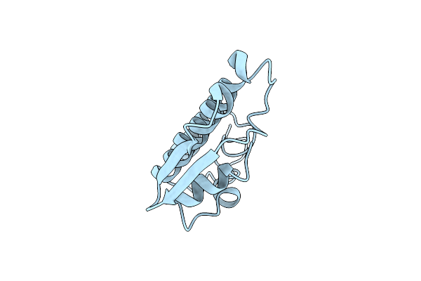 2BP2 image
