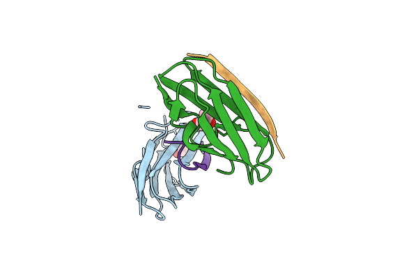 2BP3 image