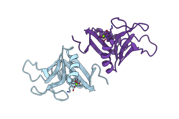 2BPH image