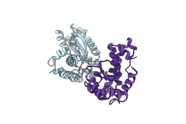2BPI image