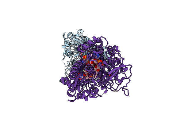2BPO image