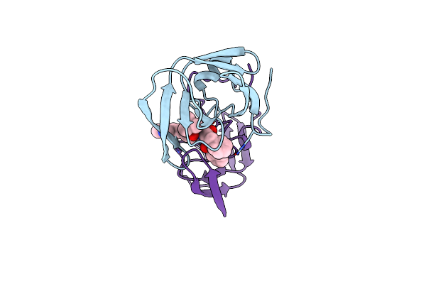 2BPV image