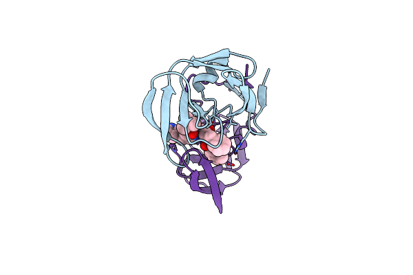 2BPX image