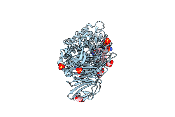 2BRP image