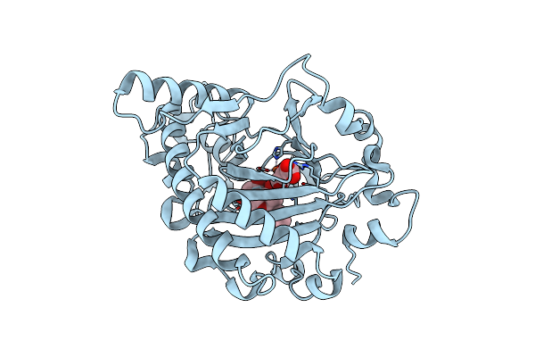 2BRT image