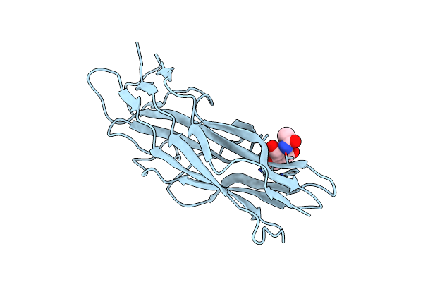 2BS8 image