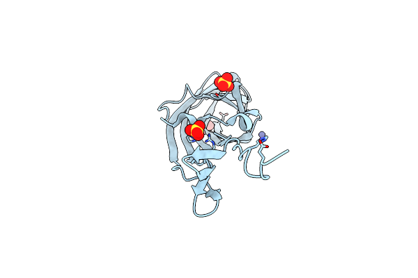 2BSF image