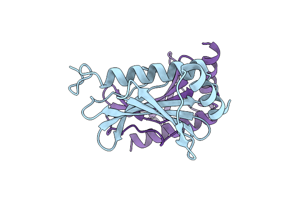 2BSH image