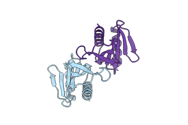 2BSI image