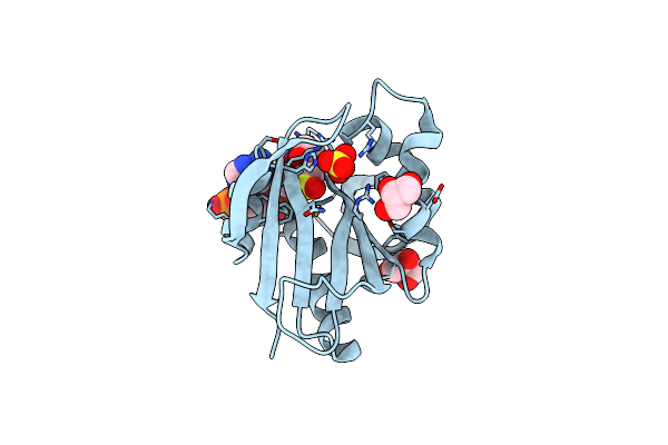 2BSW image