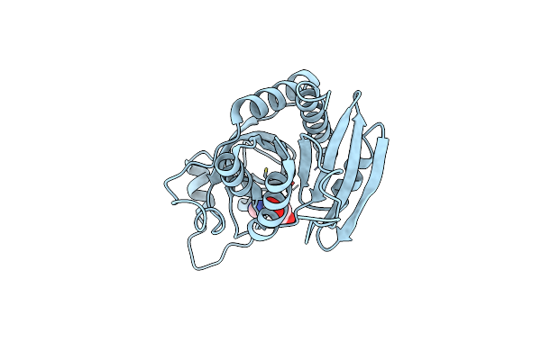 2BSX image