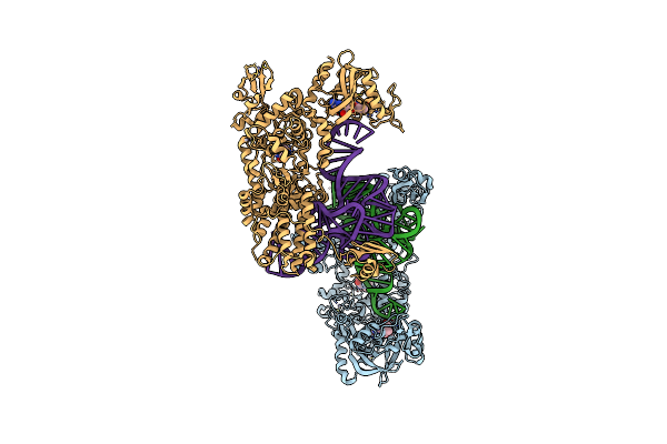 2BTE image