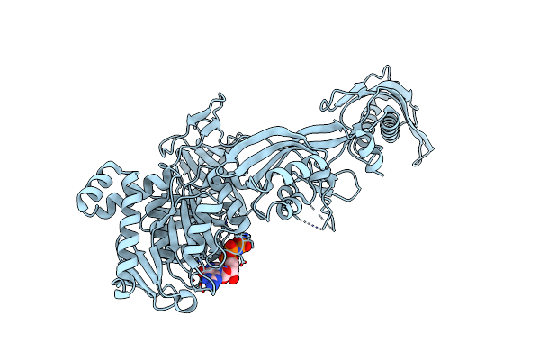 2BV3 image