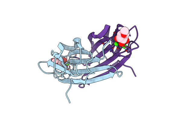 2BV4 image