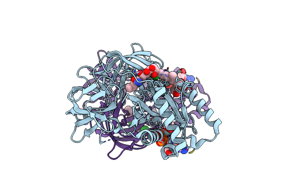 2BVN image