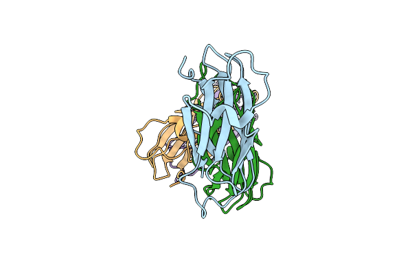 2BVU image