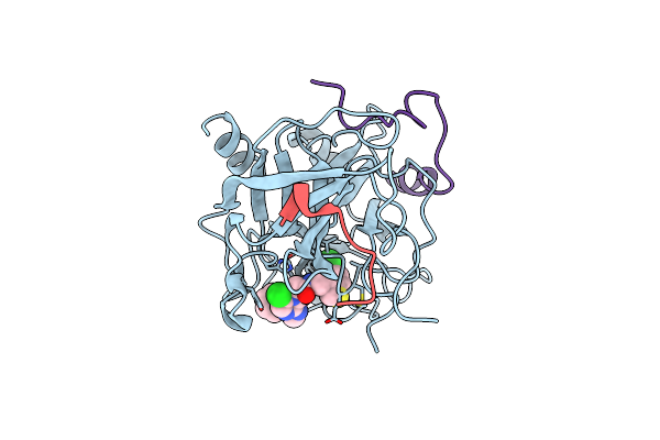 2BVX image