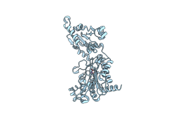 2BWX image