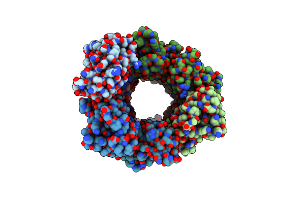 2BX5 image